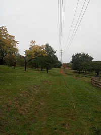 Pohled na severovýchodní stranu sadu